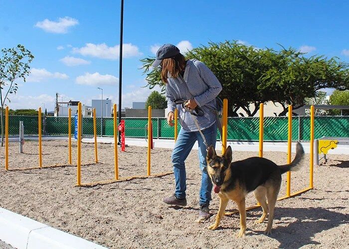 Parque canino o área para perros - Anut Educación Canina